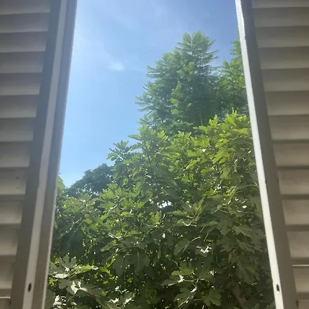 Apartamento Calzada 10 Con Encanto